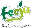 feeju_logo_feelthejuice
