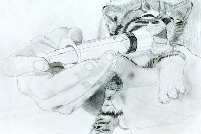 Τ.Ε._166_ΛΥΚΕΙΟ_ΠΑΧΑΤΟΥΡΙΔΗΣ ΝΙΚΟΣ